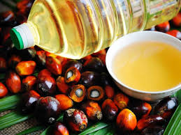 Image result for disease in the heart has been slowed down with the help of palm oil