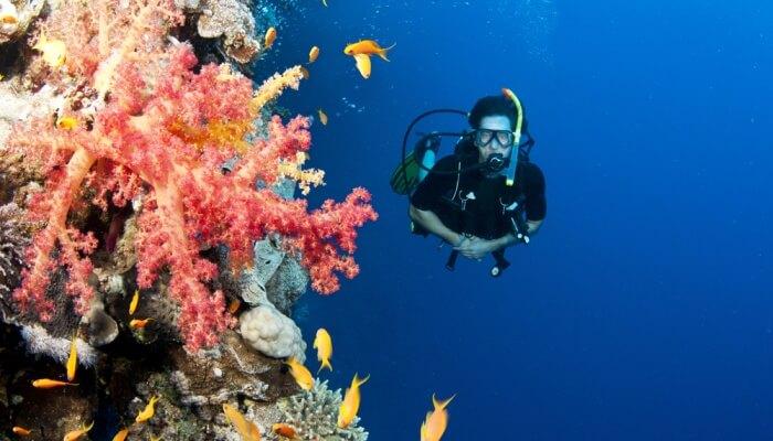 Best Diving Places In Malaysia